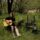 billy strings